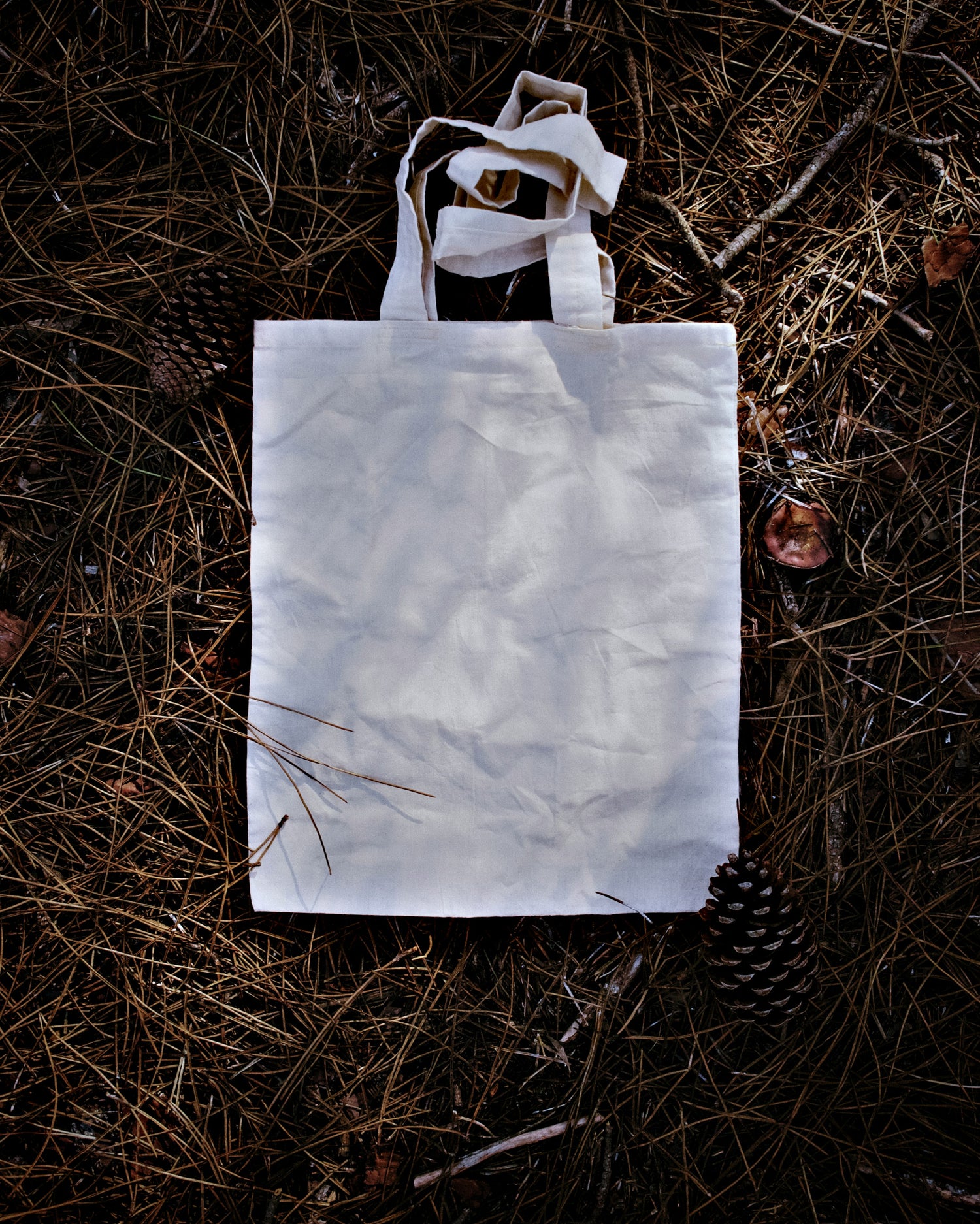 Linen Tote Bags